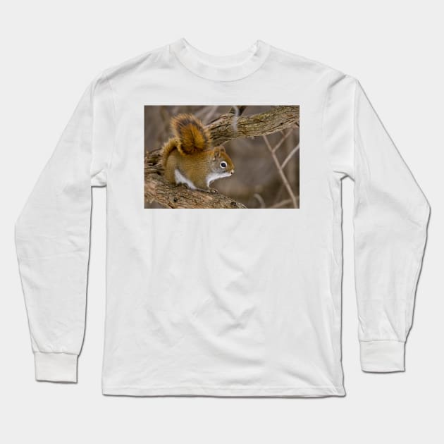 Red Squirrel Long Sleeve T-Shirt by jaydee1400